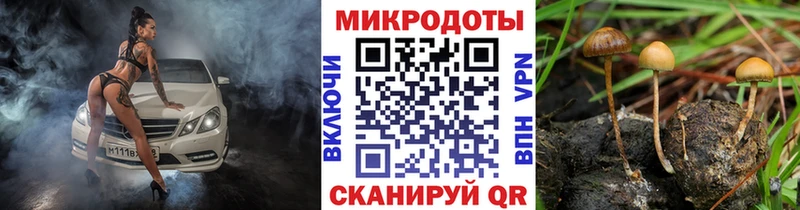 Купить  Можга  Псилоцибиновые грибы MAGIC MUSHROOMS 